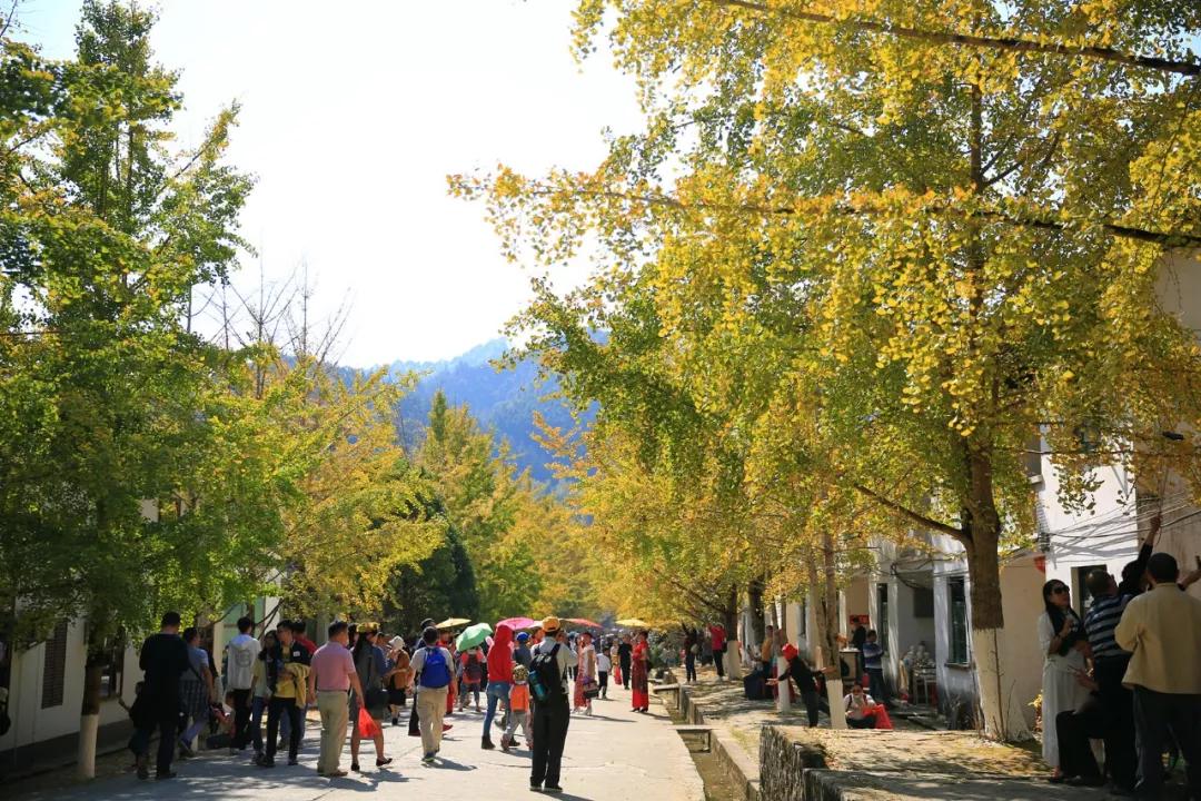 南雄最新現(xiàn)狀，科技前沿產(chǎn)品引領(lǐng)未來生活發(fā)展