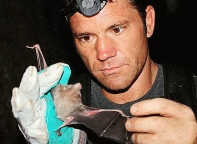 蝙蝠最新電影，自信與成長的翅膀，勵志翱翔天空之旅