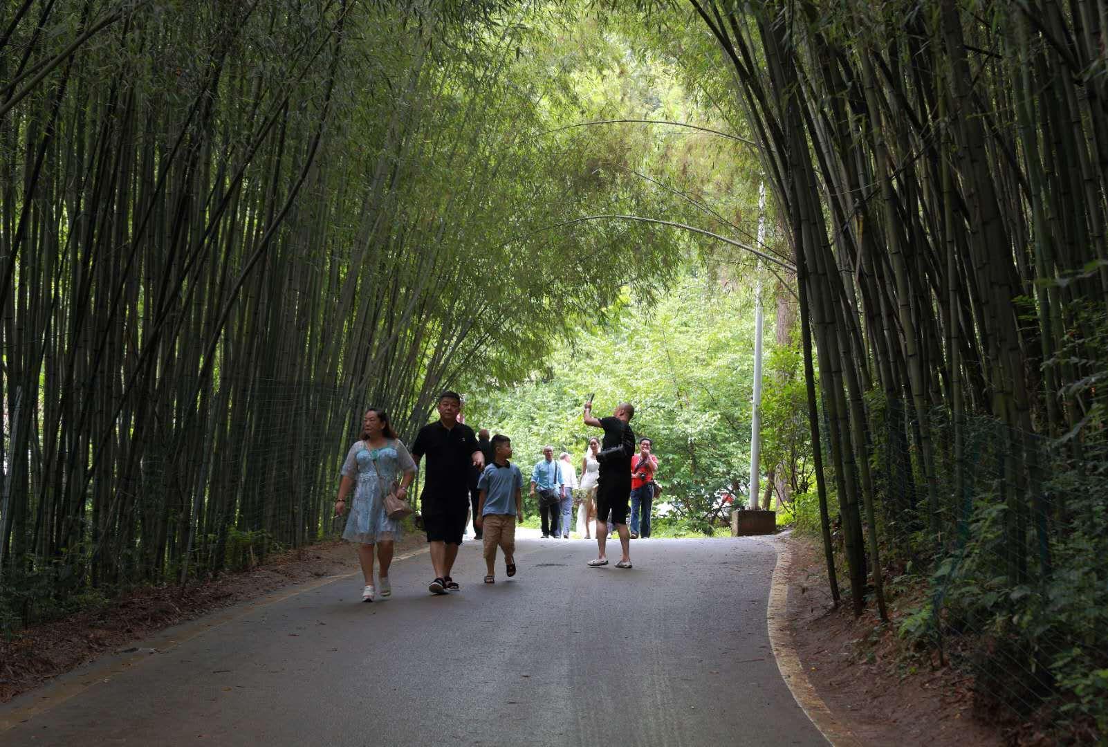 全家最新優(yōu)惠攻略，一步步教你享受最大優(yōu)惠折扣！