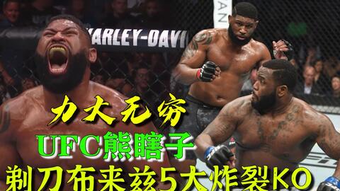 小菊最新比賽，友誼與夢想的絢爛綻放