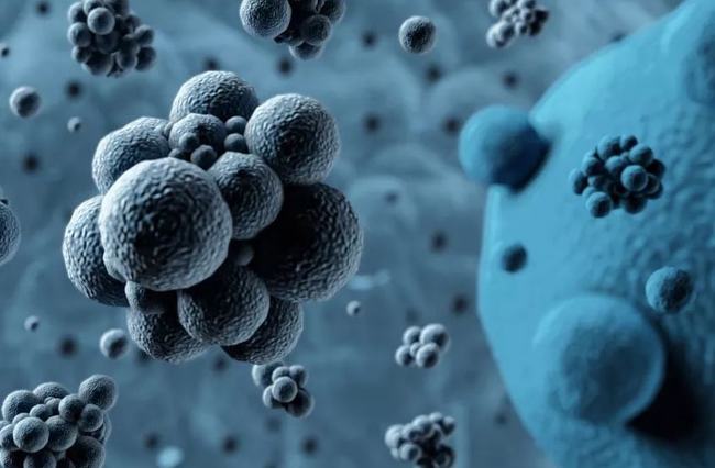 病毒擴(kuò)散最新情況，自然探險(xiǎn)之旅尋求內(nèi)心平和之地