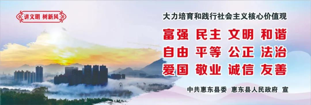 惠州肺炎最新動(dòng)態(tài)，小巷深處的獨(dú)特小店背后的故事