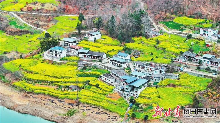 揭秘文縣，歷史背景、重大事件與時代地位全景展示