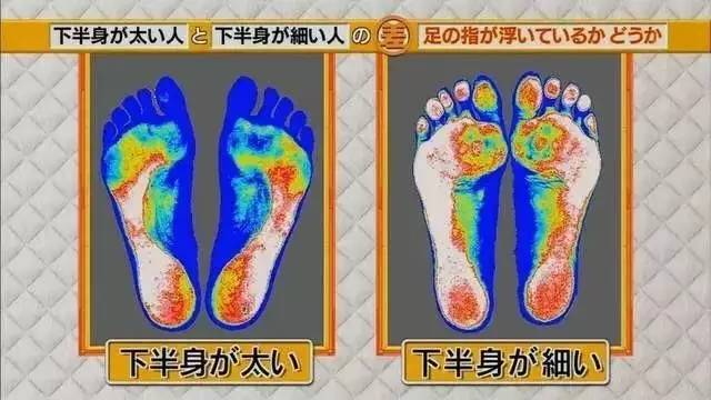 最新地趾論述，探索、爭議與觀點綜述