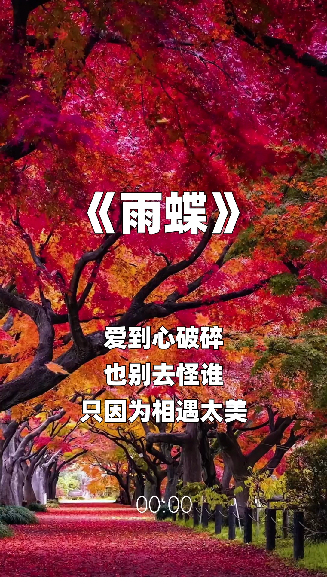 雨蝶最新步驟指南，如何完成任務(wù)或?qū)W習(xí)技能？