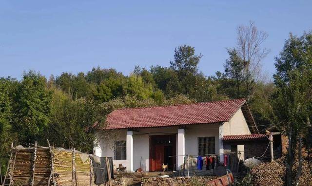 新時(shí)代田園生活揭秘，鄉(xiāng)村農(nóng)村的最新風(fēng)貌與體驗(yàn)