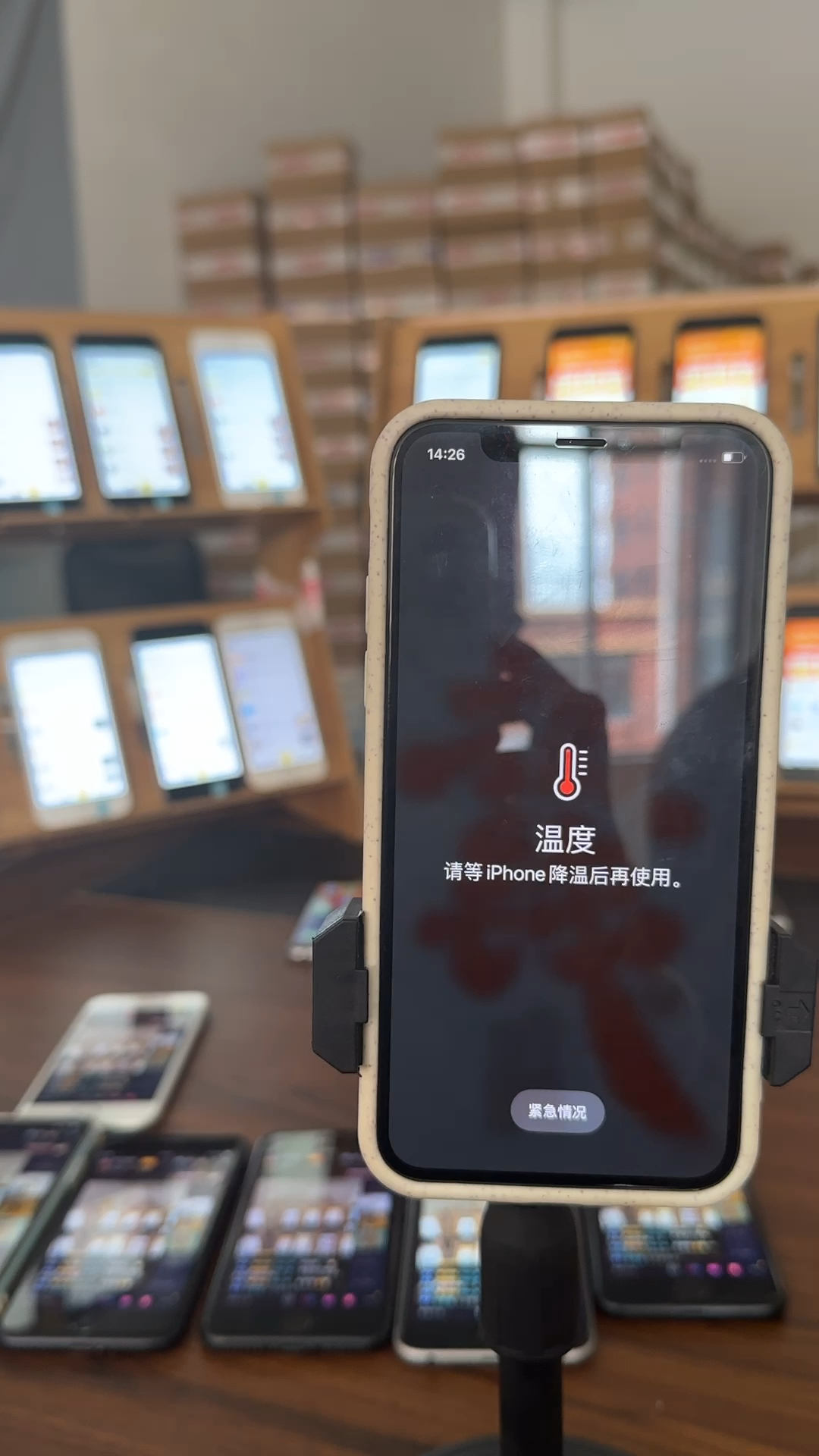 蘋果最新直播，科技與文化的完美融合盛宴