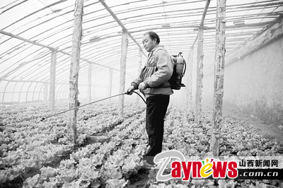 最新農藥抽檢結果出爐，守護農田安全，你我他的共同責任