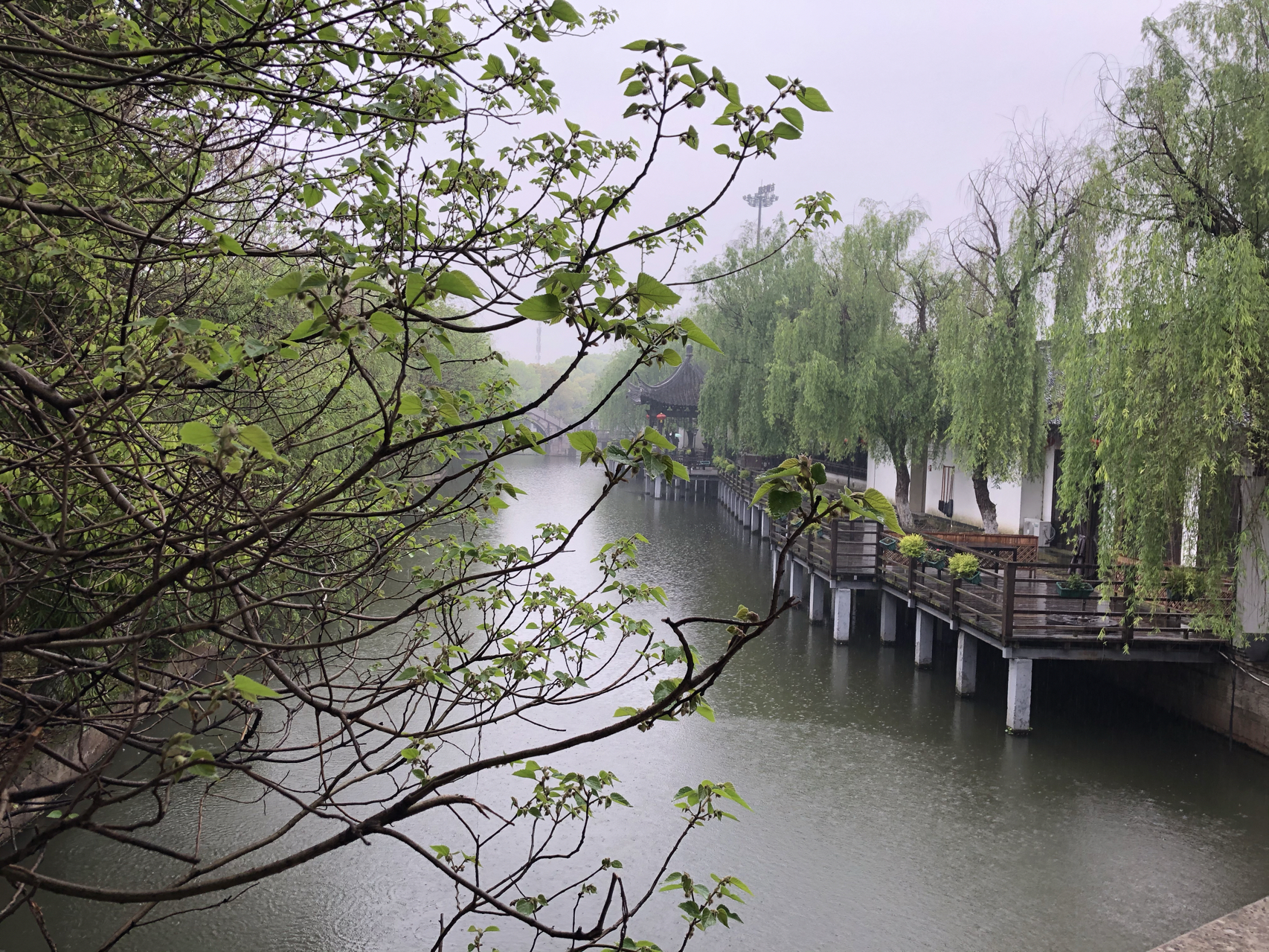 江南煙雨最新，自信與成就感的成長之旅
