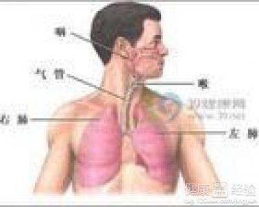 咸豐肺炎最新全面指南與詳解，癥狀、治療、步驟解析