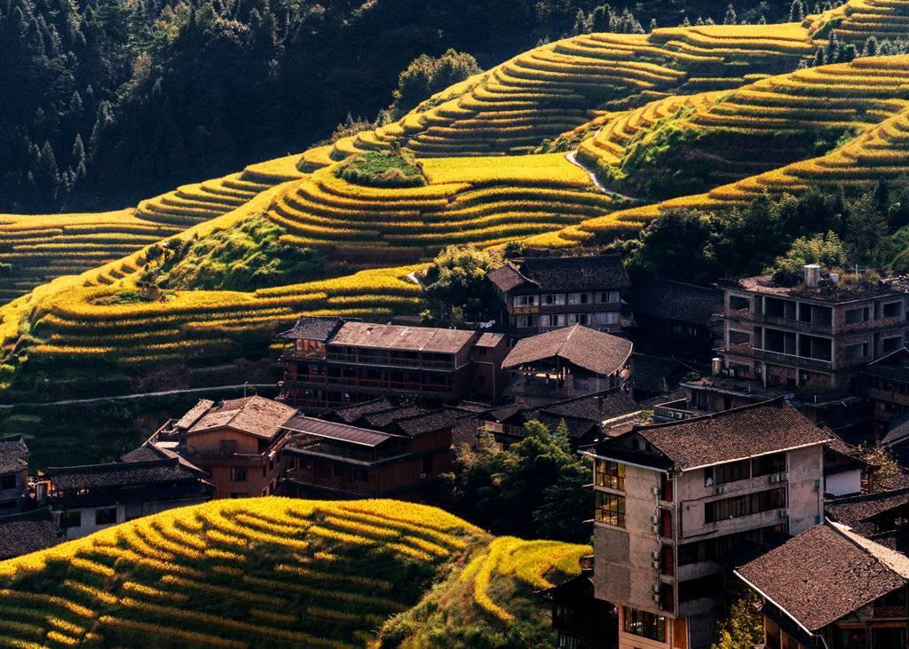 金秋天最新時尚潮流，獨(dú)特風(fēng)情展現(xiàn)魅力風(fēng)采