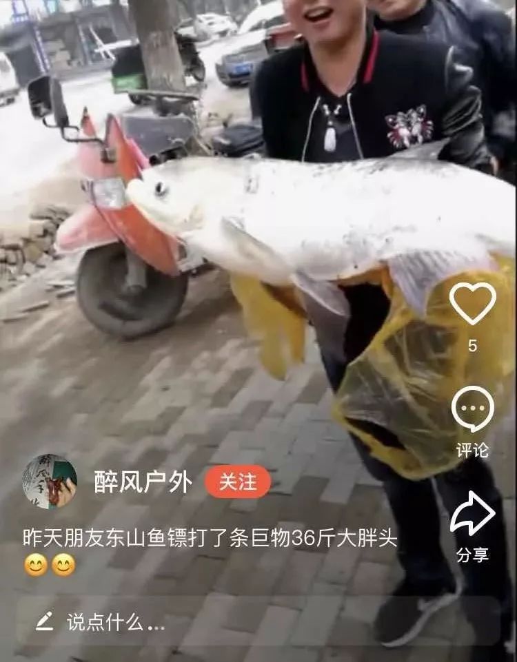 射魚神器進化升級，學習變革與自信成就之源