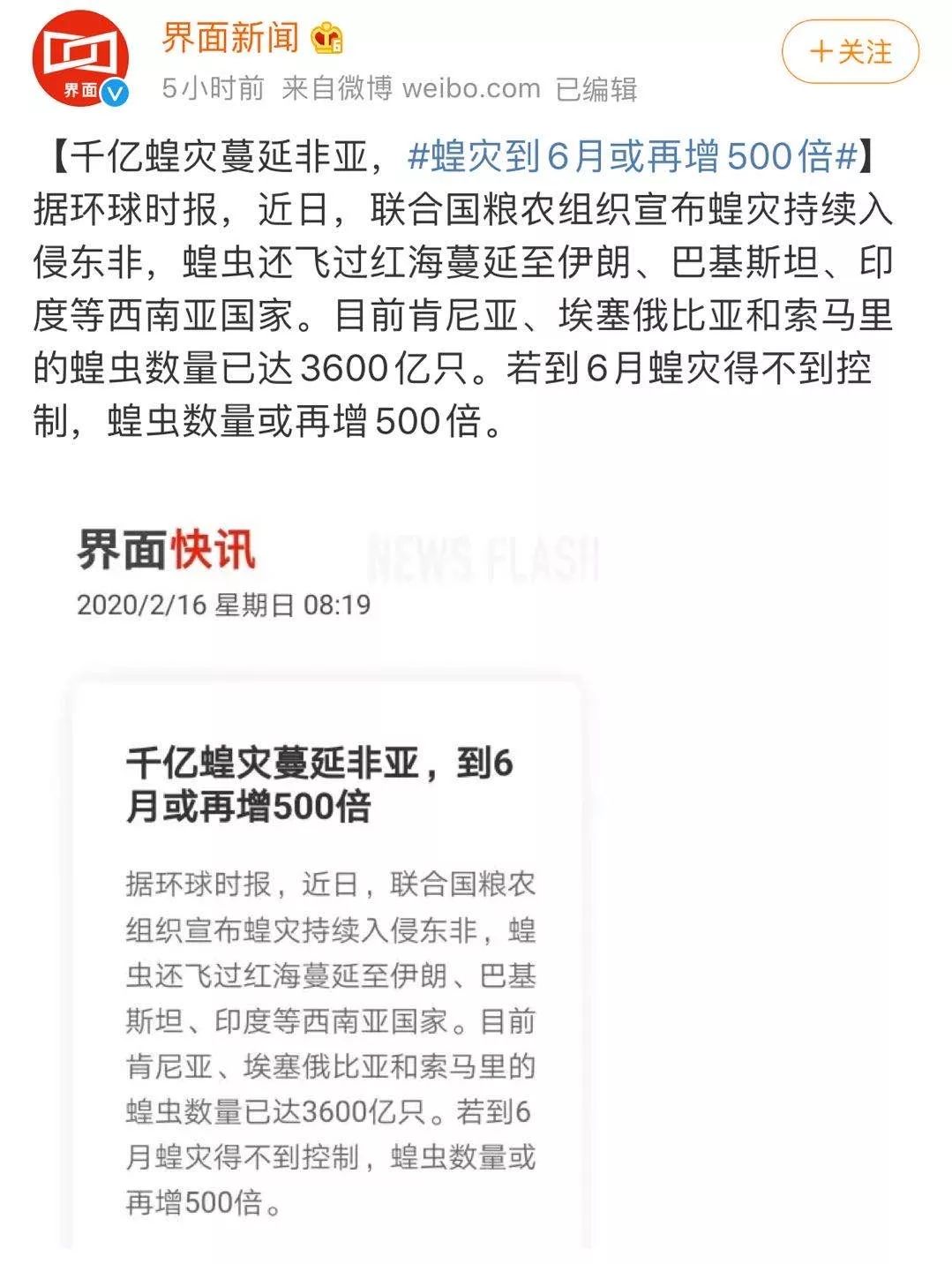 世界蝗災(zāi)最新動態(tài)，探索自然美景的輕松之旅