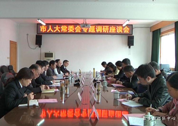 安徽歙縣最新動態(tài)，小巷深處的驚喜