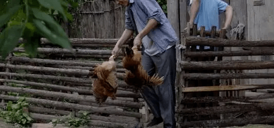 最新版偷雞，從變化中學習，擁抱自信，成就非凡之路