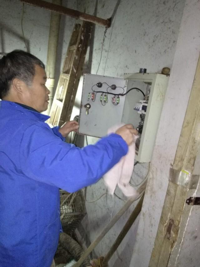 化糞池最新事件，心靈與自然的奇妙之旅