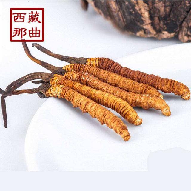 揭秘2025年蟲草最新價格，探尋小巷中的秘密行情！