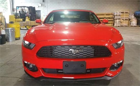 威路德最新款，小巷中的驚喜發(fā)現(xiàn)