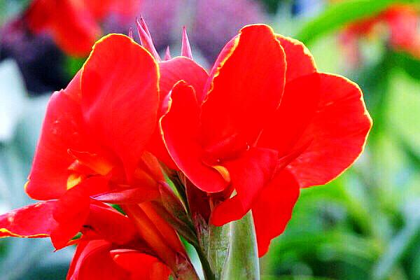 詠美最新作品——開啟智能生活科技之門的新紀(jì)元