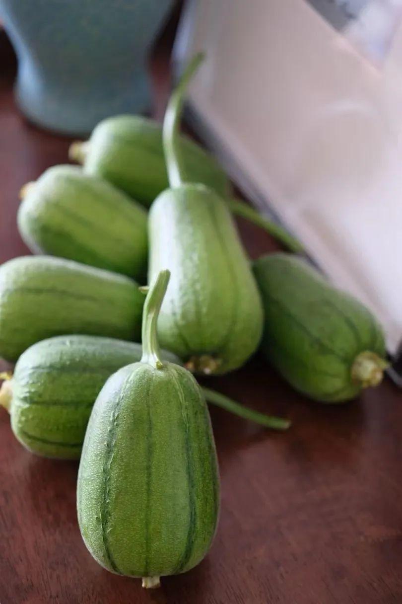 蘋果絲瓜最新版，全新升級魅力體驗(yàn)