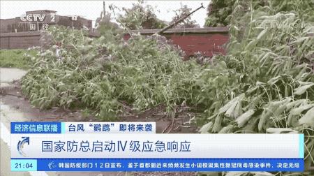 超強臺風鸚鵡來襲，最新路徑動態(tài)全解析???