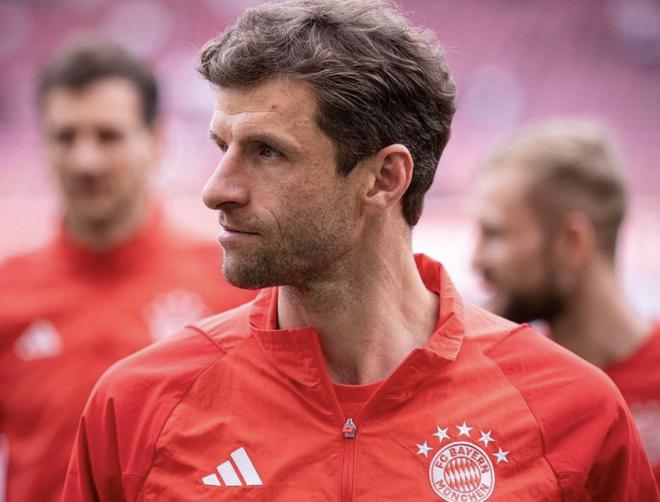 慕尼黑最新動態(tài)，城市生活的溫馨日常