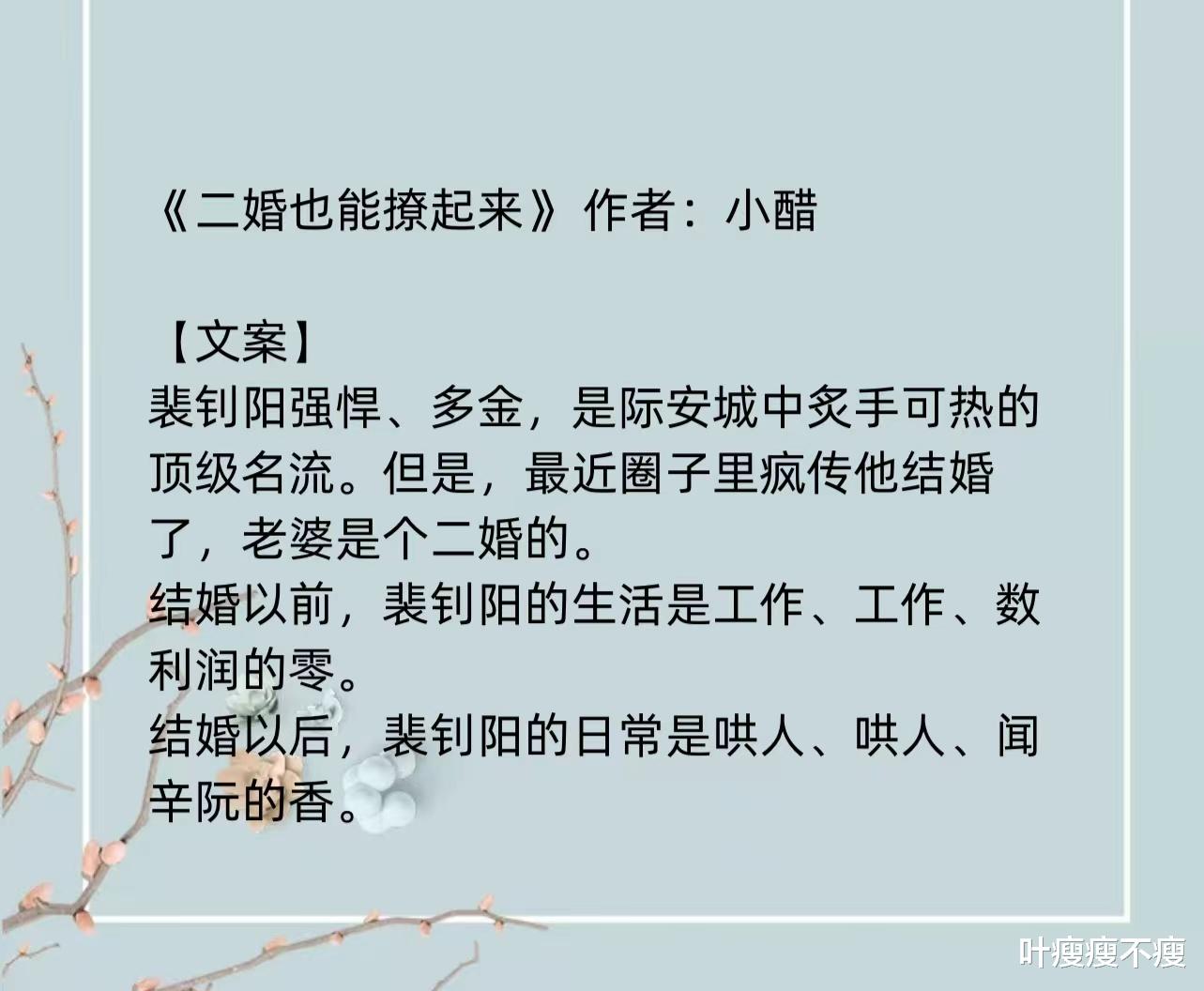 最新二婚小說(shuō)，小巷深處的浪漫故事