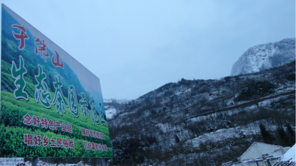 千佛山綿陽最新探索，巷弄深處的獨特風(fēng)味之旅