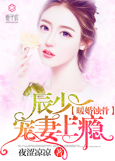 陸少寵上癮最新動態(tài)，日常趣事與真摯友情的獨特魅力