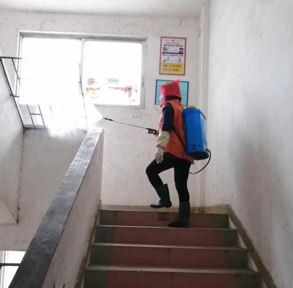 蓬江區(qū)最新高科技住宅，重塑未來生活體驗的首選之地