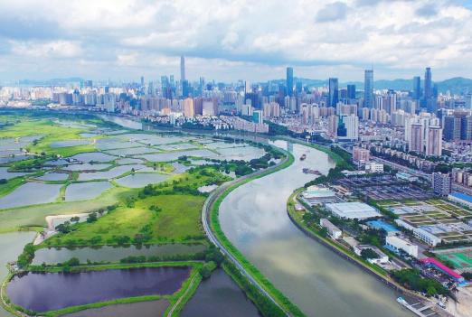 當(dāng)下流行語探尋之旅，與大自然共舞，尋找內(nèi)心平靜之旅