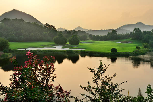 風(fēng)水最新動(dòng)態(tài)，日常小事中的風(fēng)水奧秘與溫馨解讀