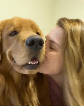 時(shí)代潮流還是陷阱？深度解讀最新趨勢背后的真相