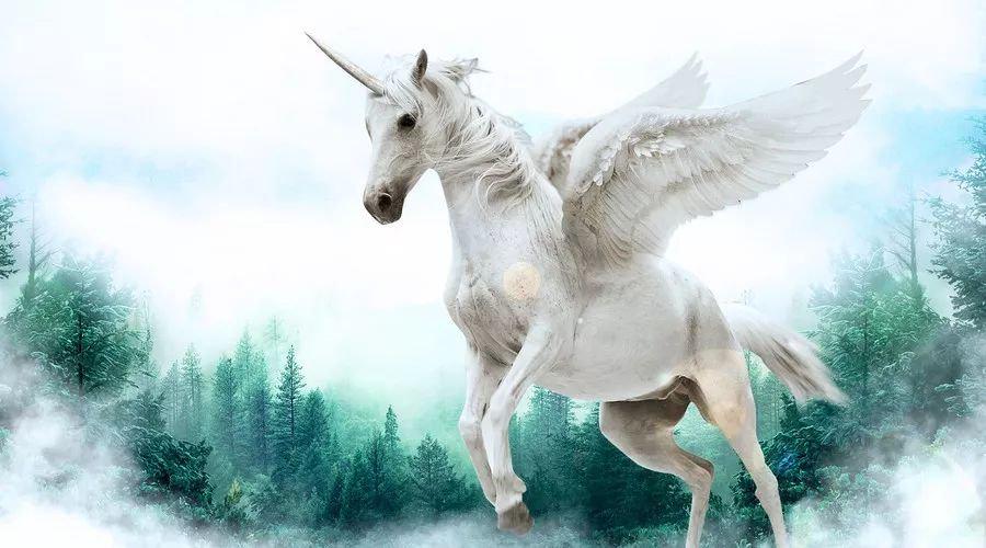 中國最新獨角獸，自信與成就感的源泉